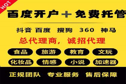 服装品牌SEM外包服务的市场推广案例